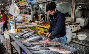 سفربازی - بازار ماهی‌فروشان رامسر