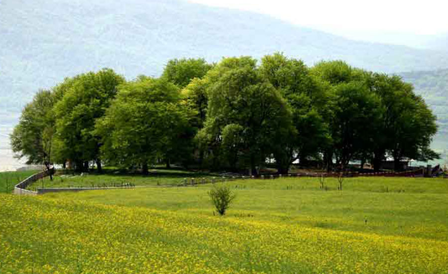 سفربازی - روستای ورند