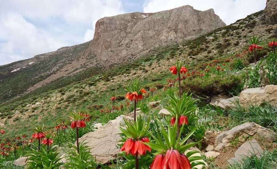 دژ قلات شاه مهاباد، قلعه‌ای با قدمت بالا